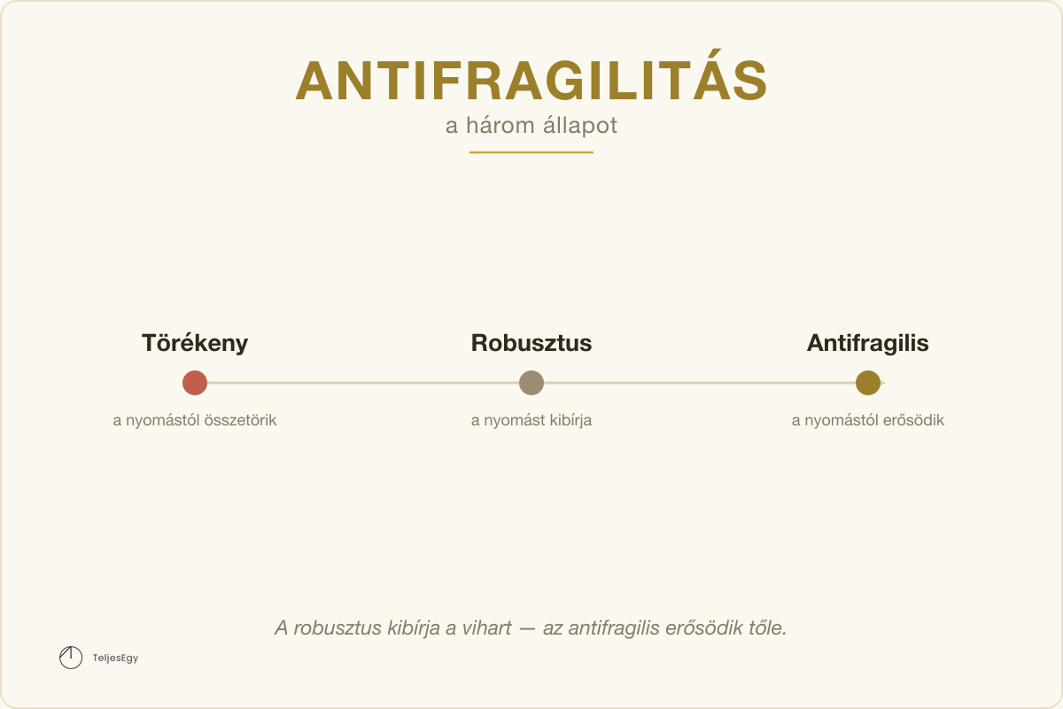 Antifragilitás — a három állapot: Törékeny, Robusztus, Antifragilis · TeljesEgy modell-ábra