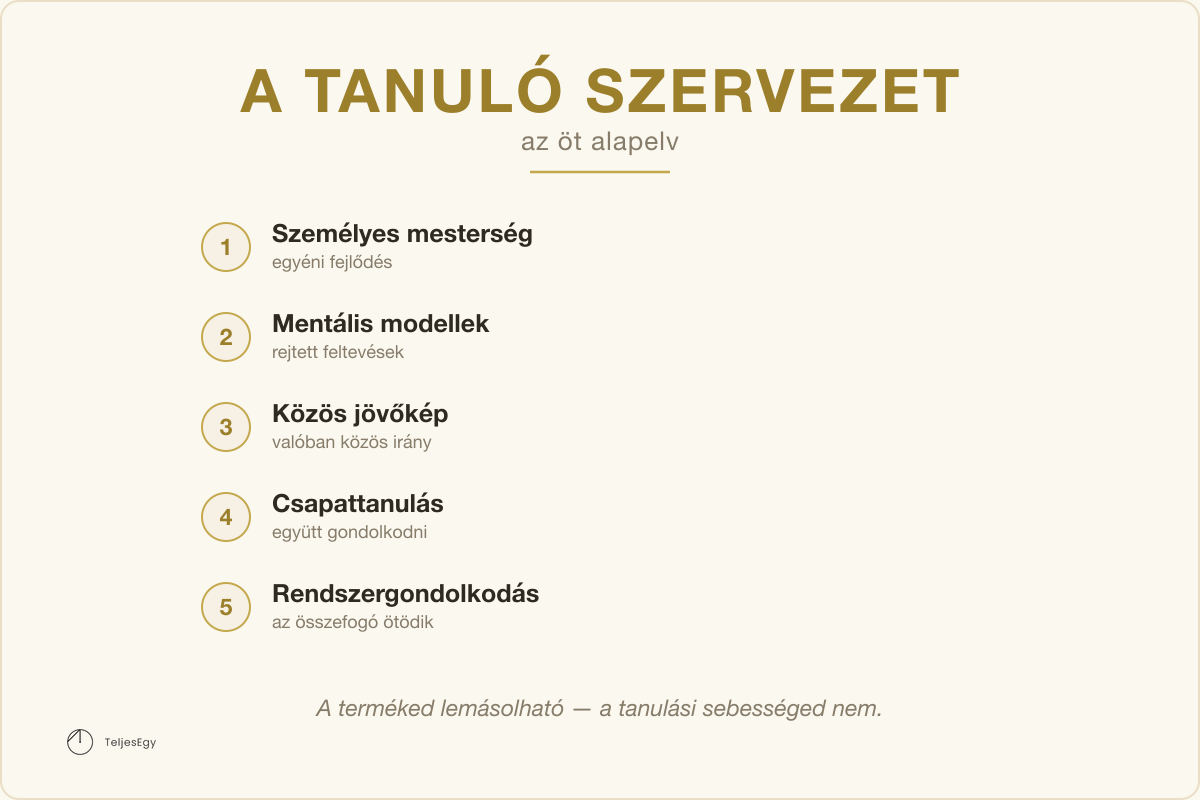 A tanuló szervezet — az öt alapelv: Személyes mesterség, Mentális modellek, Közös jövőkép, Csapattanulás, Rendszergondolkodás · TeljesEgy modell-ábra