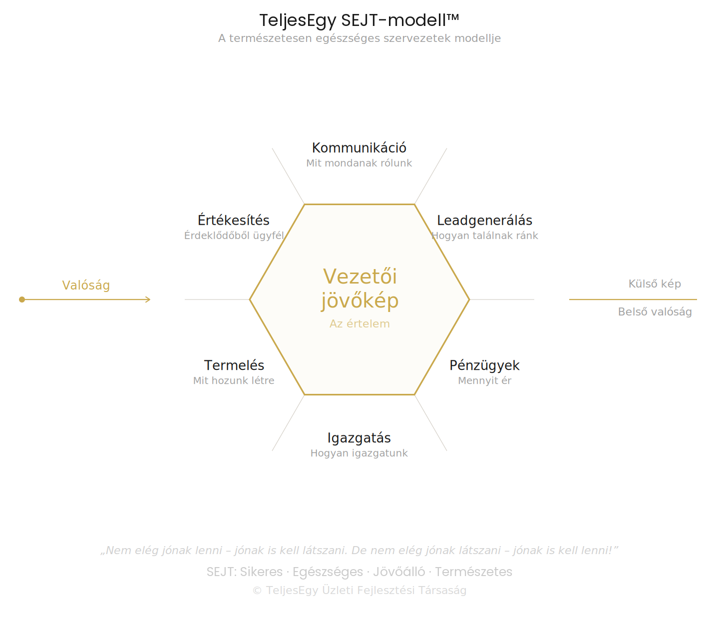 TeljesEgy SEJT-modell — a 6+1 üzleti terület